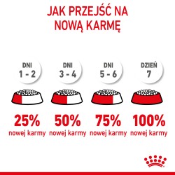 ROYAL CANIN Kitten karma sucha dla kociąt od 4 do 12 miesiąca życia 10 kg