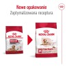 ROYAL CANIN Medium Ageing 10+ karma sucha dla psów dojrzałych ras średnich, po 10 roku życia 15 kg