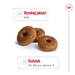 ROYAL CANIN Medium Ageing 10+ karma sucha dla psów dojrzałych ras średnich, po 10 roku życia 2x 15kg