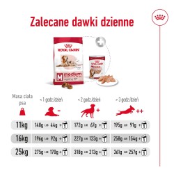 ROYAL CANIN Medium Ageing 10+ karma sucha dla psów dojrzałych ras średnich, po 10 roku życia 2x 15kg