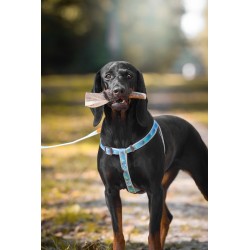 ZOLUX Smycz IMAO Taiga - niebieska 15mm