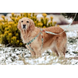 ZOLUX Smycz IMAO Taiga - niebieska 15mm