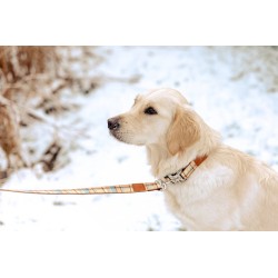 ZOLUX Smycz IMAO Scott - niebieska 20mm