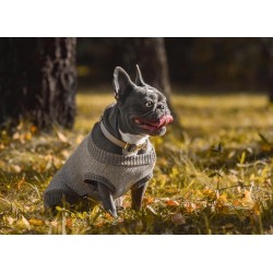 ZOLUX Obroża IMAO Mayfair - szara 20mm