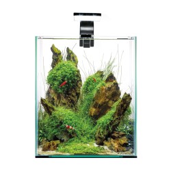 AQUAEL Shrimp Set Smart Day and Night - Zestaw do hodowli krewetek / Czarny 19L