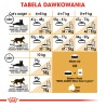 ROYAL CANIN Maine Coon Adult karma sucha dla kotów dorosłych rasy maine coon 2kg