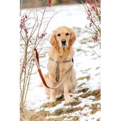 ZOLUX Szelki IMAO Mayfair - szare 25mm