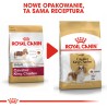 ROYAL CANIN Cavalier King Charles Adult karma sucha dla psów dorosłych rasy cavalier king charles spaniel 2x 1,5kg