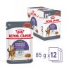 ROYAL CANIN Appetite Control Care karma mokra, plasterki w sosie, dla kotów dorosłych, uporczywie domagających się jedzenia 85g