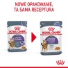 ROYAL CANIN Appetite Control Care karma mokra w galaretce dla kotów dorosłych, uporczywie domagających się jedzenia 85g