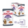 ROYAL CANIN Appetite Control Care karma mokra w galaretce dla kotów dorosłych, uporczywie domagających się jedzenia 85g