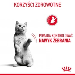 ROYAL CANIN Appetite Control Care karma sucha dla kotów dorosłych, uporczywie domagających się jedzenia 400g