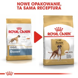 ROYAL CANIN Boxer Adult karma sucha dla psów dorosłych rasy bokser 12kg