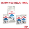 ROYAL CANIN Indoor Sterilised w galaretce, karma mokra dla kotów dorosłych, sterylizowanych, przebywających wyłącznie w domu 48x