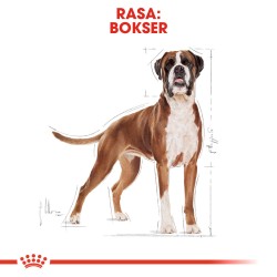 ROYAL CANIN Boxer Adult karma sucha dla psów dorosłych rasy bokser 2x 12kg
