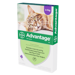 BAYER Advantage dla kotów powyżej 4kg (4 x 0,8ml)
