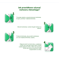 BAYER Advantage dla kotów powyżej 4kg (4 x 0,8ml)