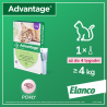 BAYER Advantage dla kotów powyżej 4kg (4 x 0,8ml)