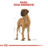ROYAL CANIN Great Dane Adult karma sucha dla psów dorosłych rasy dog niemiecki 12kg