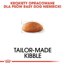 ROYAL CANIN Great Dane Adult karma sucha dla psów dorosłych rasy dog niemiecki 12kg