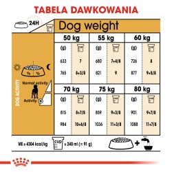 ROYAL CANIN Great Dane Adult karma sucha dla psów dorosłych rasy dog niemiecki 12kg
