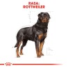 ROYAL CANIN Rottweiler Adult karma sucha dla psów dorosłych rasy rottweiler 12kg