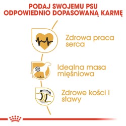 ROYAL CANIN Rottweiler Adult karma sucha dla psów dorosłych rasy rottweiler 12kg