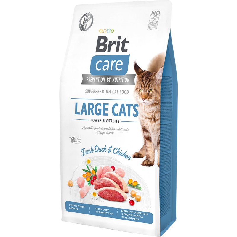 BRIT CARE CAT Grain-Free Large cats Power and Vitality 2kg