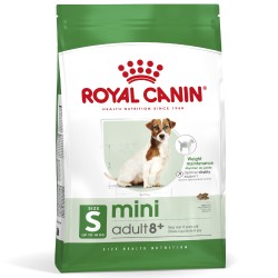 ROYAL CANIN Mini Adult 8+ karma sucha dla psów dojrzałych od 8 do 12 roku życia, ras małych 800g