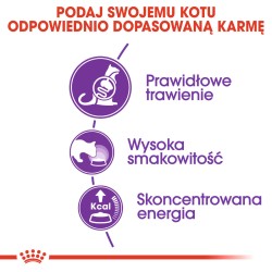 ROYAL CANIN Sensible 33 karma sucha dla kotów dorosłych, o wrażliwym układzie pokarmowym 4 kg