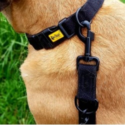 DINGO Smycz przedłużana z taśmy bawełnianej - czarna 2,0cm x 120-220cm