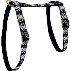 ZOLUX Szelki nylonowe dla kota LadyCat 10 mm - czarny