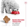 ROYAL CANIN Mini Adult 8+ karma sucha dla psów dojrzałych od 8 do 12 roku życia, ras małych 2x 8kg