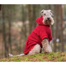 AMIPLAY Bluza z kapturem TEXAS - Czerwony 50 cm