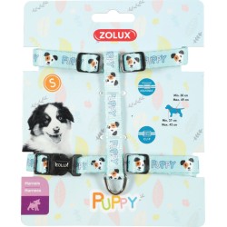 ZOLUX Szelki Puppy Mascotte - niebieski 13 mm