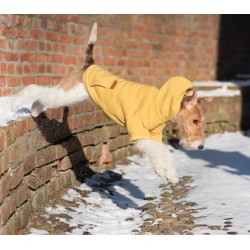 AMIPLAY Bluza z kapturem TEXAS - Żółta 45 cm