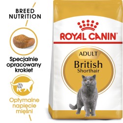 ROYAL CANIN British Shorthair karma sucha dla kotów dorosłych rasy brytyjski krótkowłosy 2kg