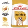 ROYAL CANIN Bulldog Adult karma sucha dla psów dorosłych rasy buldog 12kg
