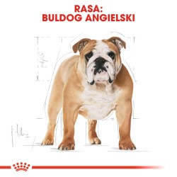 ROYAL CANIN Bulldog Adult karma sucha dla psów dorosłych rasy buldog 12kg
