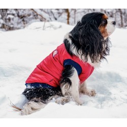 AMIPLAY Kurtka Puchowa Bronx - Czerwona 33 cm