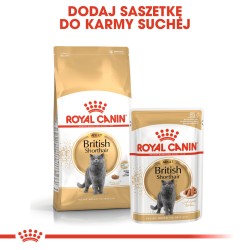 ROYAL CANIN British Shorthair karma sucha dla kotów dorosłych rasy brytyjski krótkowłosy 10 kg