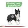 ROYAL CANIN Medium Digestive Care karma sucha dla psów dorosłych, ras średnich o wrażliwym przewodzie pokarmowym 2x 10 kg