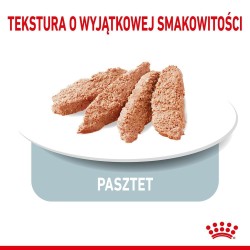 ROYAL CANIN CCN Light Weight Care karma mokra - pasztet dla psów dorosłych z tendencją do nadwagi 85g