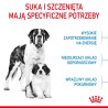 ROYAL CANIN Giant Starter Mother & Babydog karma sucha dla suk w ciąży i laktacji, szczeniąt ras olbrzymich 1 kg
