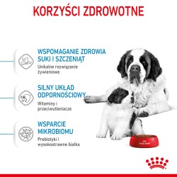 ROYAL CANIN Giant Starter Mother & Babydog karma sucha dla suk w ciąży i laktacji, szczeniąt ras olbrzymich 1 kg