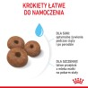 ROYAL CANIN Giant Starter Mother & Babydog karma sucha dla suk w ciąży i laktacji, szczeniąt ras olbrzymich 1 kg