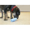 KONG Puppy Teething Stick M