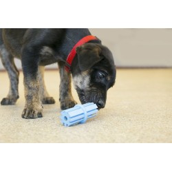 KONG Puppy Teething Stick L