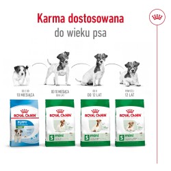 ROYAL CANIN Mini Ageing 12+ karma sucha dla psów dojrzałych ras małych, po 12 roku życia 800g