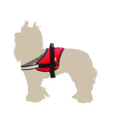 DINGO Szelki dla psa Strong America - Alabama 37 - 49 cm